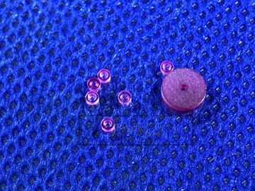 Bocas de rubíes del transporte del zafiro de la dureza 9,0/del zafiro/junta del zafiro/lavadora del zafiro por tamaño modificado para requisitos particulares
