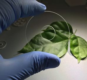 Buen precio Resistencia de abrasión da alta temperatura de cristal del anillo óptico del zafiro de los componentes del zafiro de la dureza 9,0 en línea