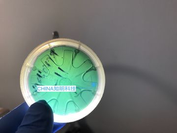 Buen precio 2 tipo lingotes de la oblea del carburo de silicio de la PULGADA 6H-N de las obleas sic cristalinas 330um de MPD los 50cm en línea
