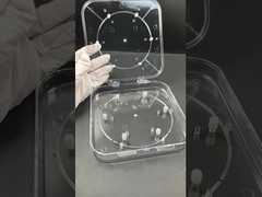 Caja de obleas ajustable ¢ Portador de obleas PC transparente para protección de semiconductores